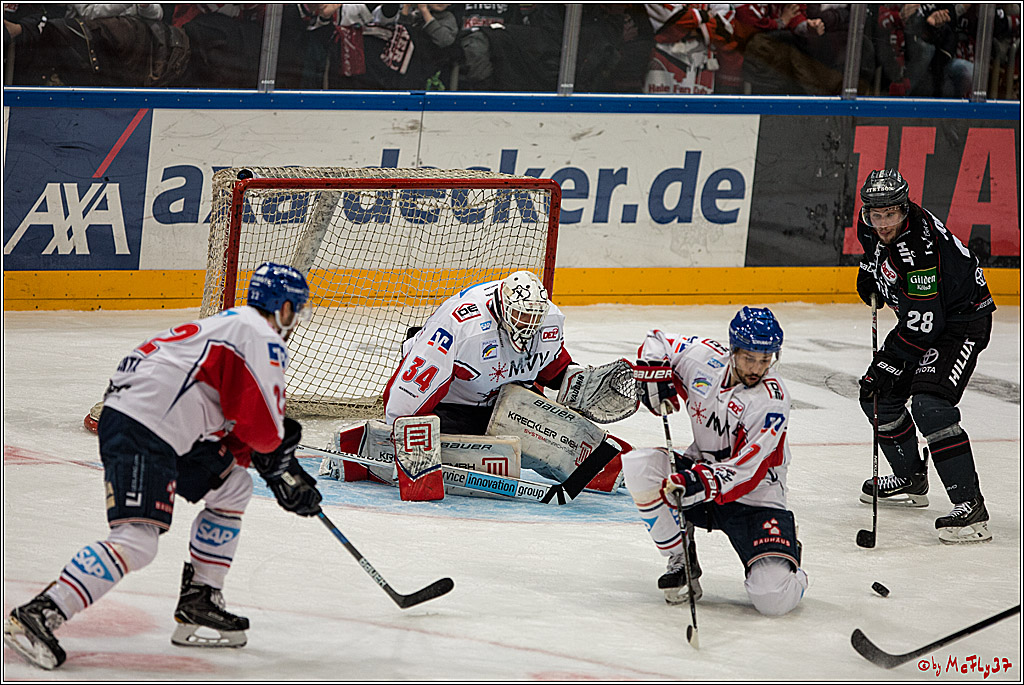 DEL, Koelner Haie - Adler Mannheim, 05.02.2017